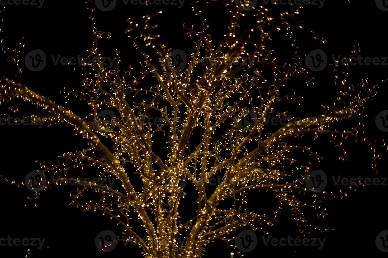 Girlanden am Baum. Glühbirnen im Dunkeln. foto