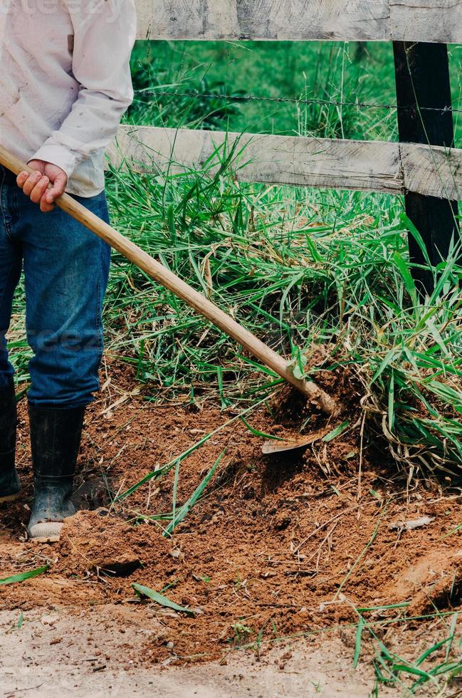 Nicht identifizierbarer Landarbeiter, der Unkraut mit einer Hacke in einem Bauernhof schneidet foto