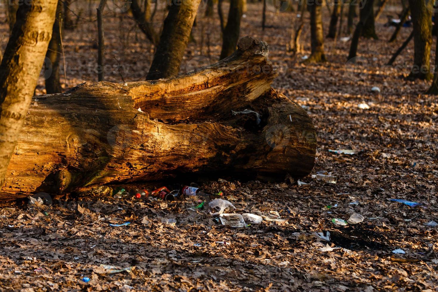 Illegaler Streumüll in blauen Plastiktüten im Wald, der in der Frühjahrssaison auf frischem Gras liegt, die Welt aufräumen foto