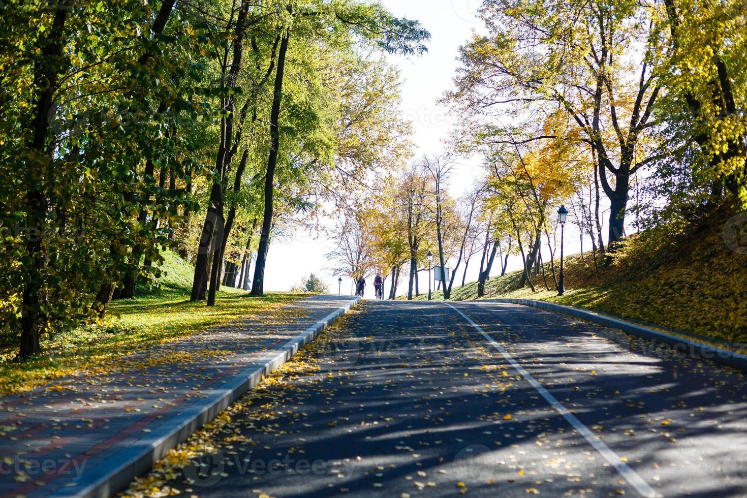 schöne romantische Gasse in einem Park mit bunten Bäumen und Sonnenlicht. natürlicher hintergrund des herbstes foto