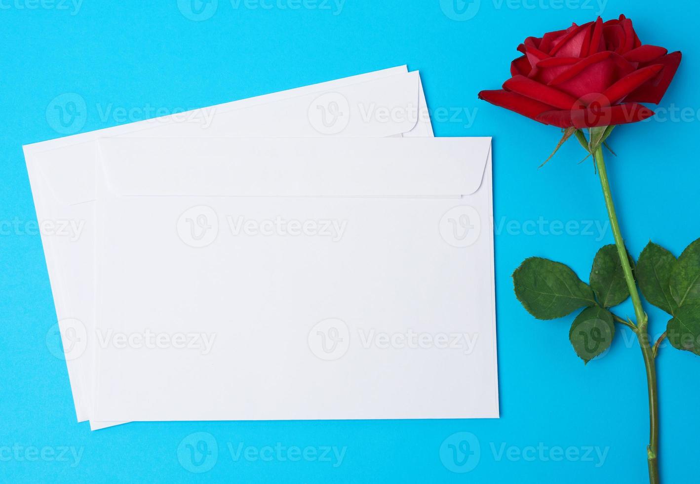 Rot blühende Rose und weißer Papierumschlag auf blauem Hintergrund foto