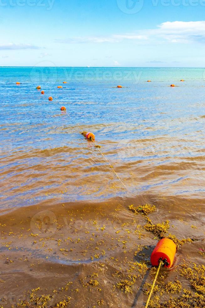 blaue wasserwellen und ozean mit boje und seilen mexiko. foto