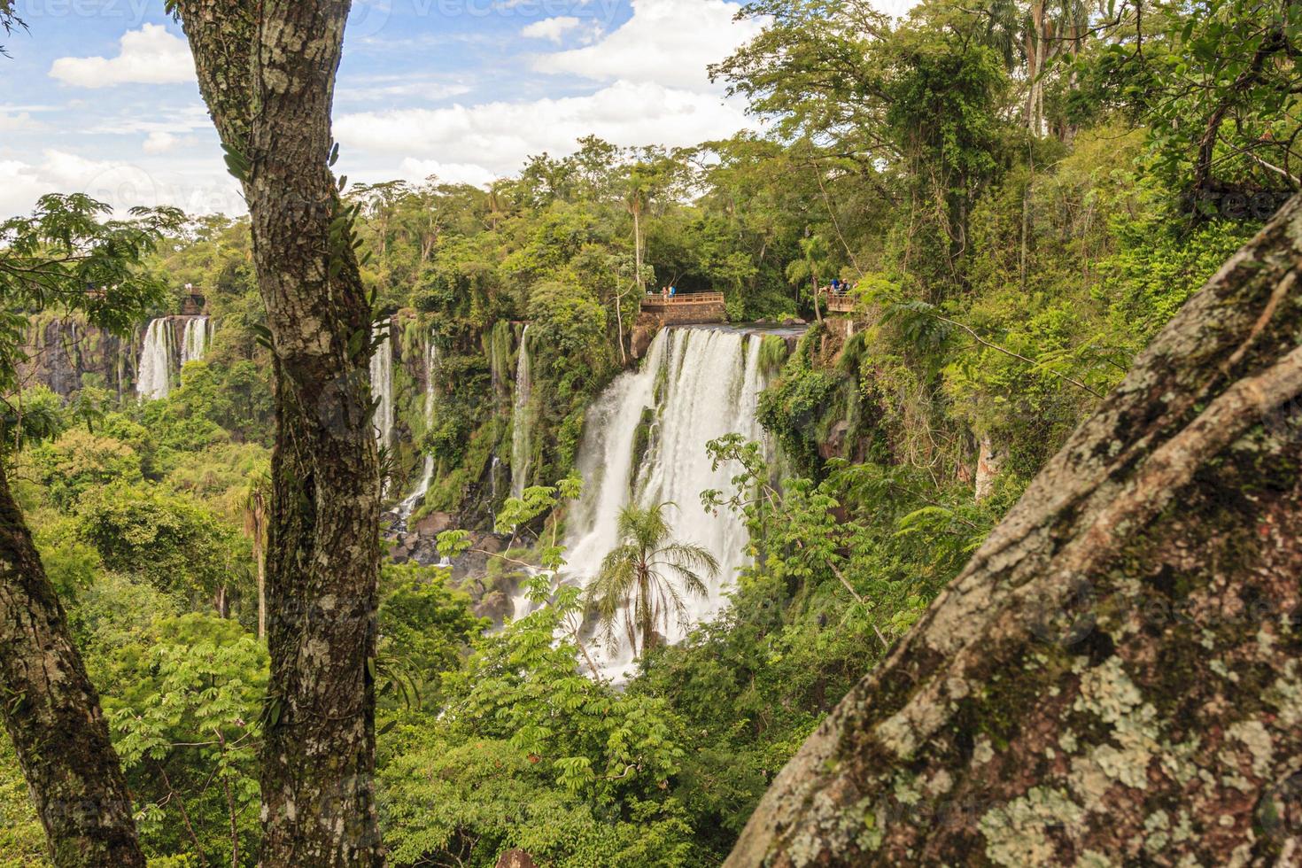 bild aus dem spektakulären iguacu nationalpark mit den beeindruckenden wasserfällen an der grenze zwischen argentinien und brasilien foto