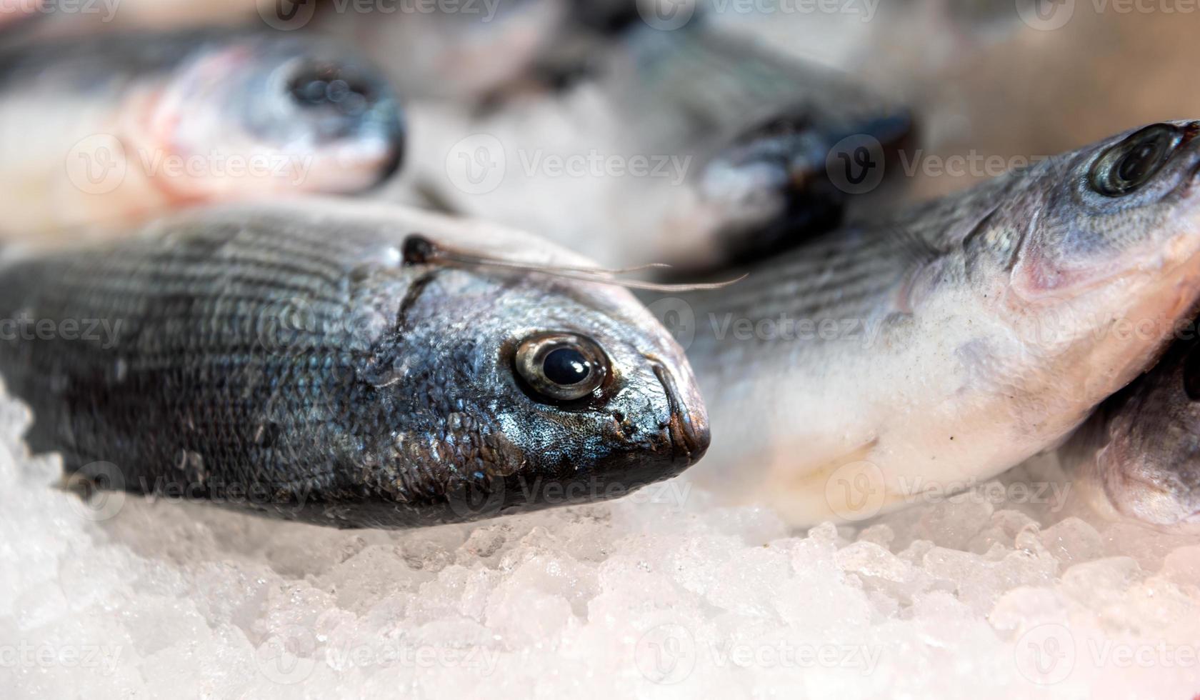 Frischer Fisch auf dem Fischmarkt foto