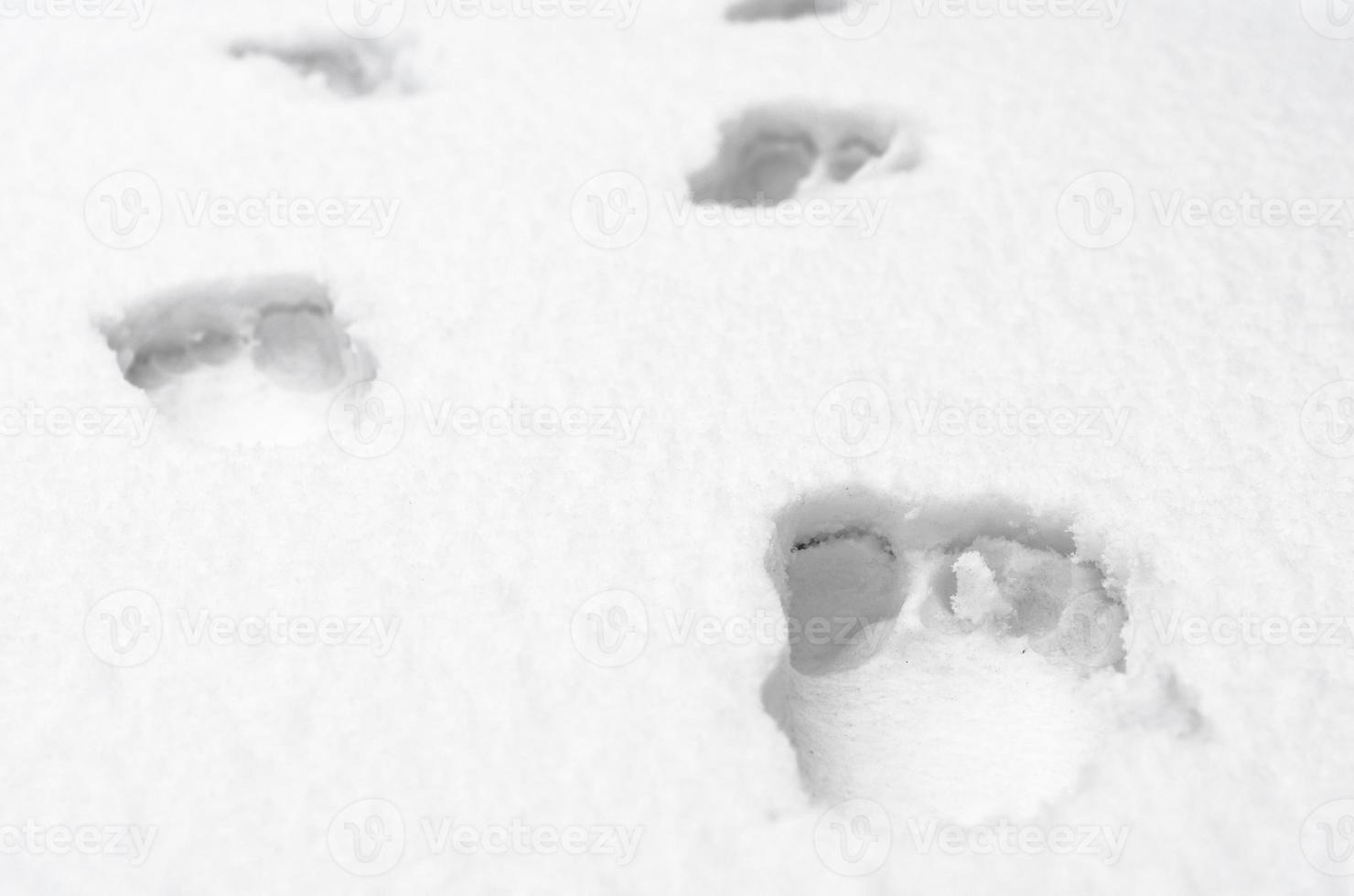 fußspuren von nackten menschlichen füßen auf weißem schnee hautnah foto