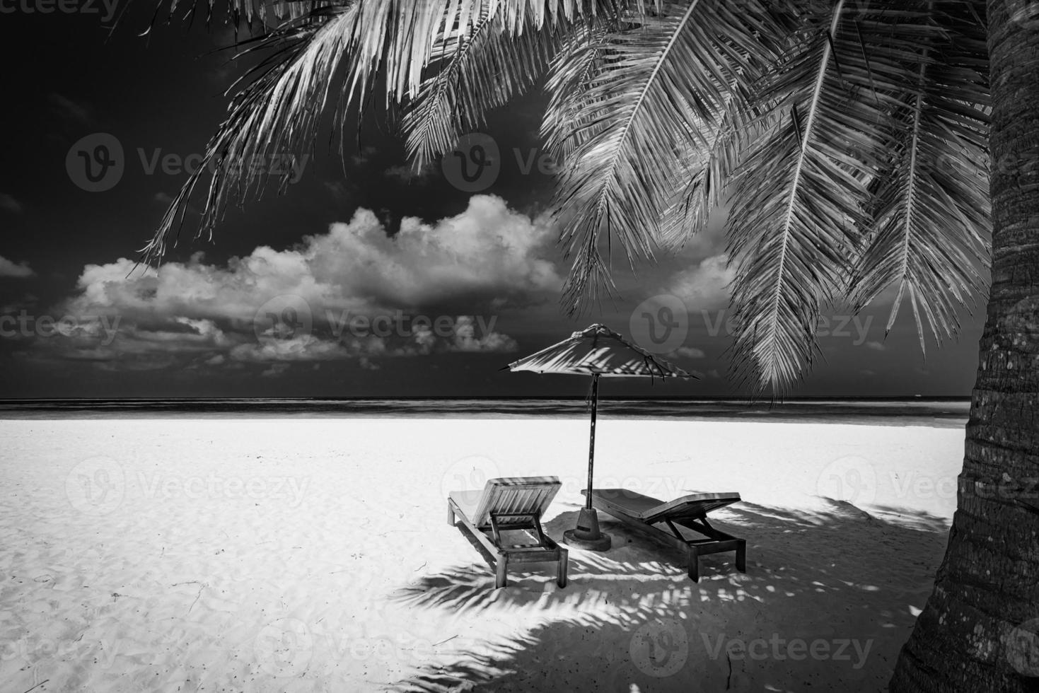 Schwarz-Weiß-Blick auf den wunderschönen Strand mit Palmenblättern, dramatischer dunkler Himmel, weißer weicher Sand. exotisches monochromes Panorama. paar meditation inspiration landschaft, paradiesischer strand ruhig minimal foto