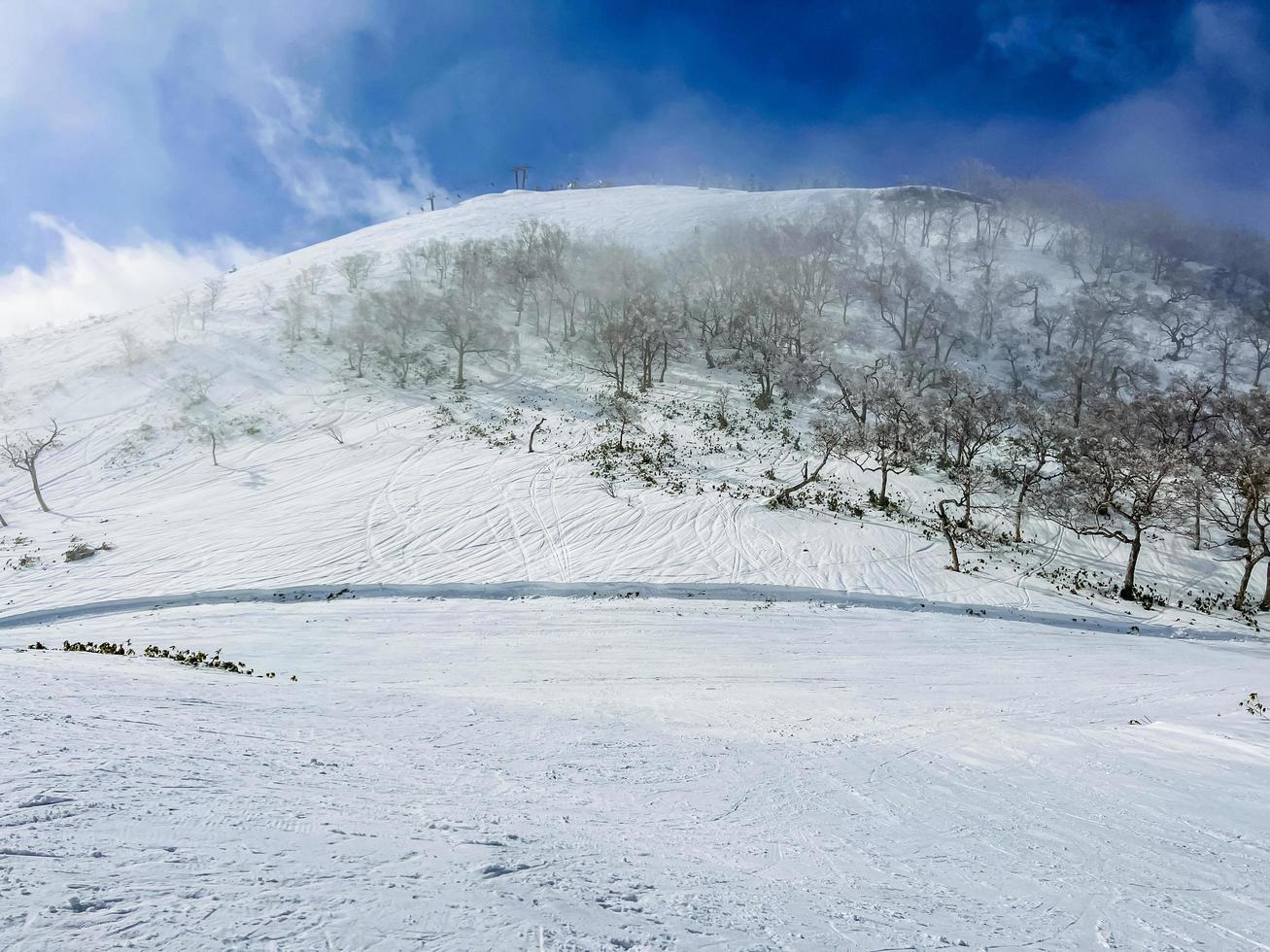 Berg mit schneebedeckten Bäumen foto