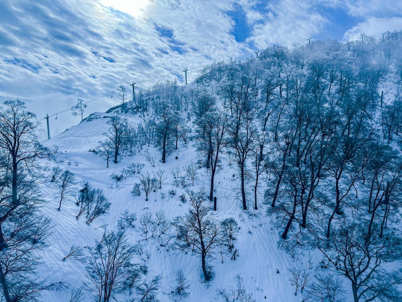 Berg mit schneebedeckten Bäumen foto