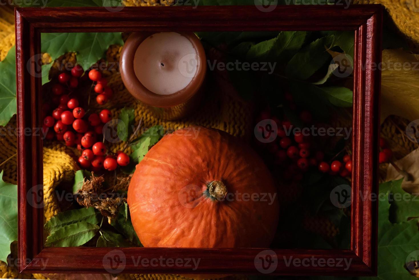 Herbstlaub, warmer Schal und Kürbis auf Holzbrett. Ansicht von oben. flach liegen. foto