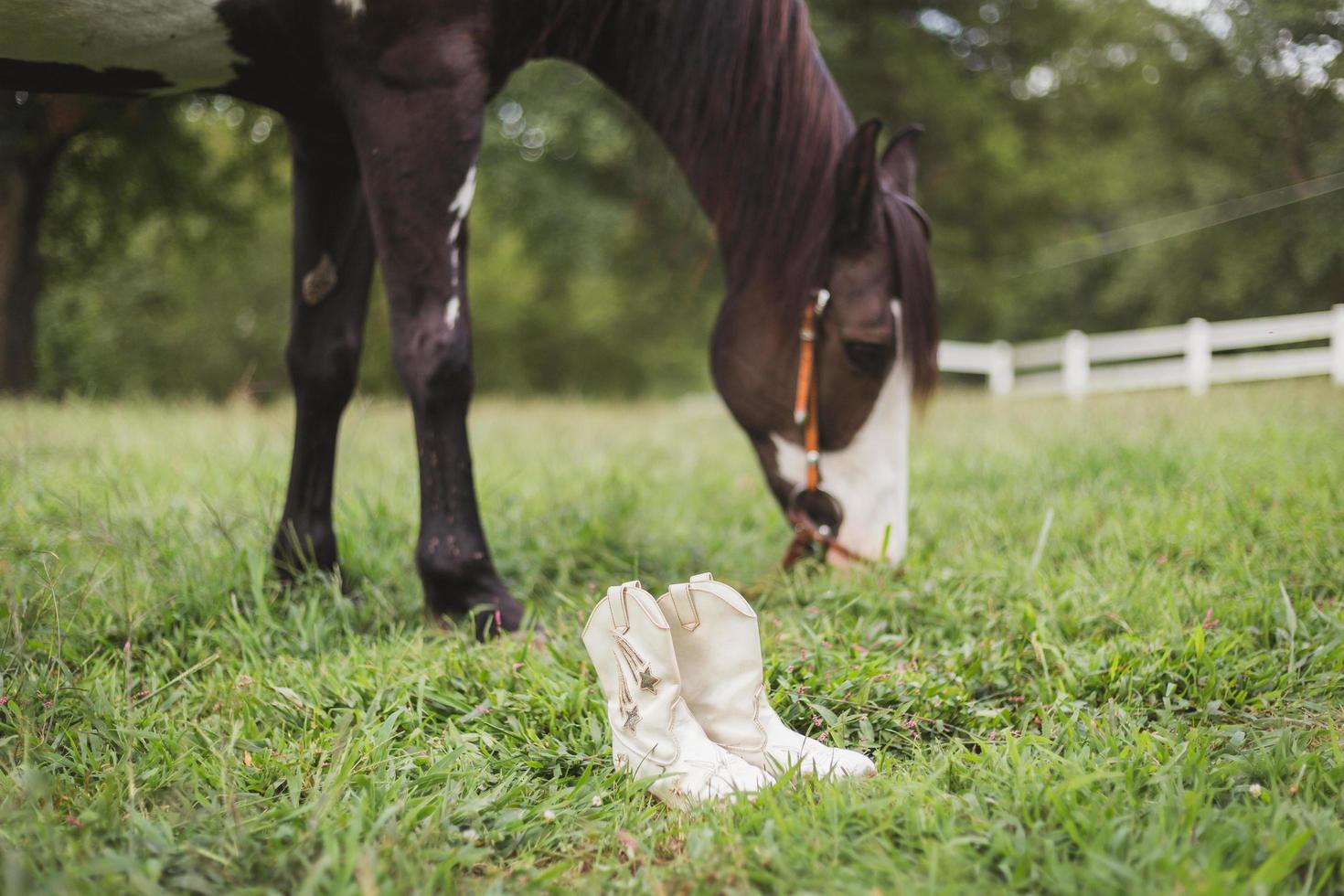 weiße Stiefel in der Nähe von Pferd foto