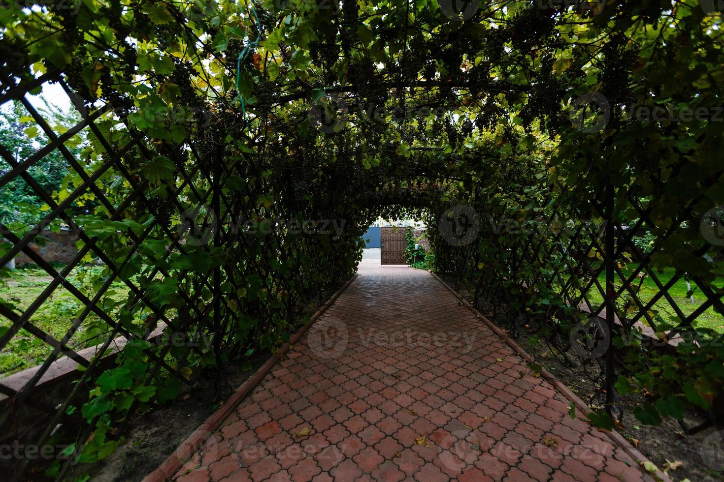 Weg im Innenhof mit Blumen foto