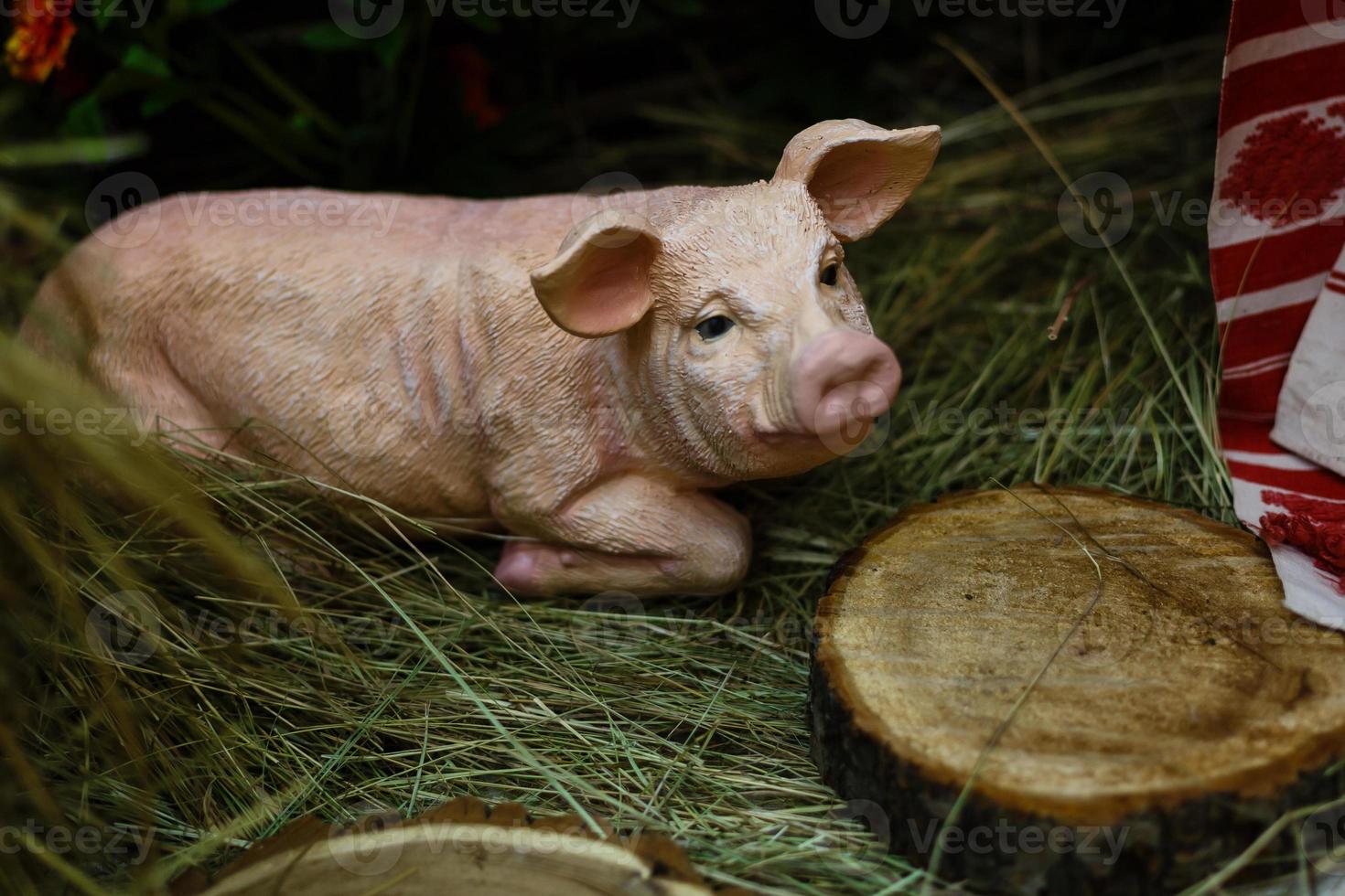 ein junges ferkel auf heu und stroh auf schweinezuchtbetrieb ein kleines schwein auf dem heu foto