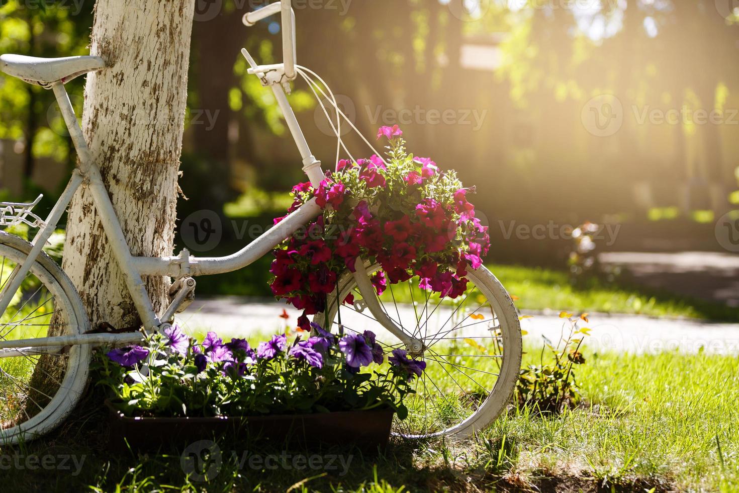 Oldtimer-Fahrrad auf dem Feld mit Tasche und Korb foto