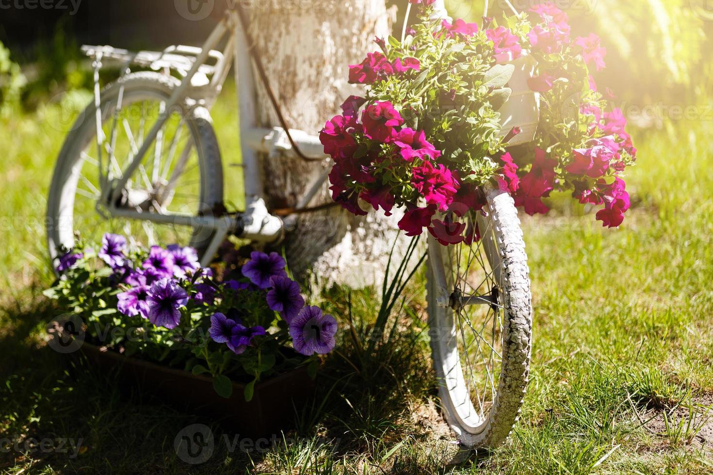 Oldtimer-Fahrrad auf dem Feld mit Tasche und Korb foto