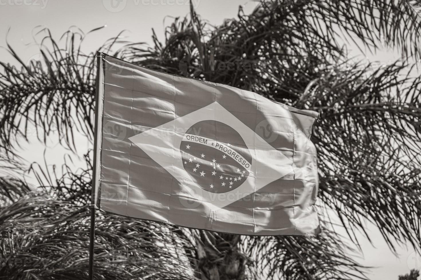 brasilianische Flagge mit Palmen und blauem Himmelshintergrund Brasilien. foto