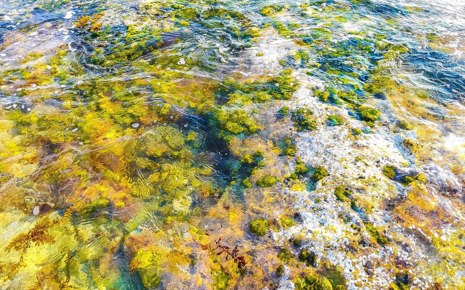 steine felsen korallen türkis grün blau wasser am strand mexiko. foto