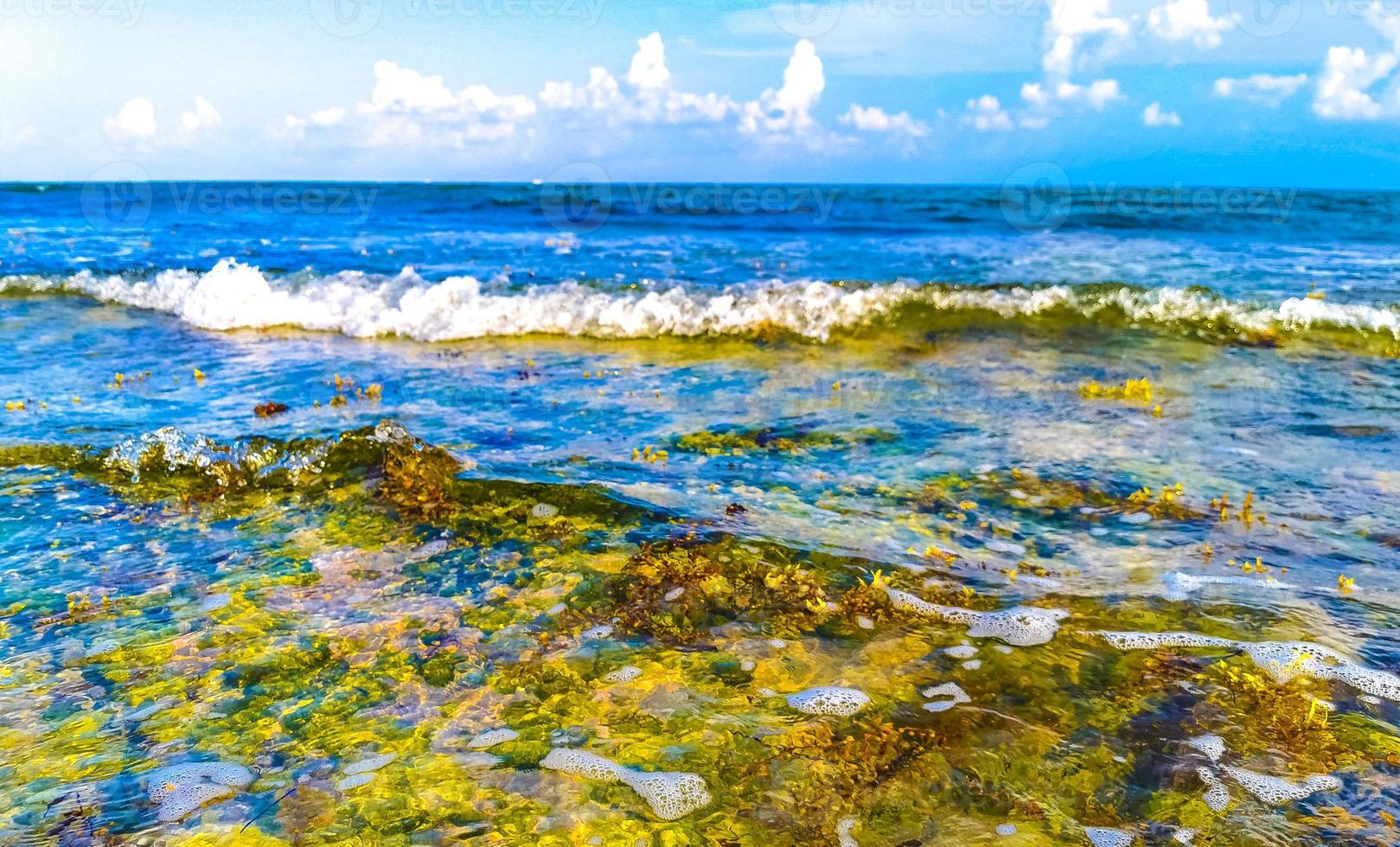 steine felsen korallen türkis grün blau wasser am strand mexiko. foto