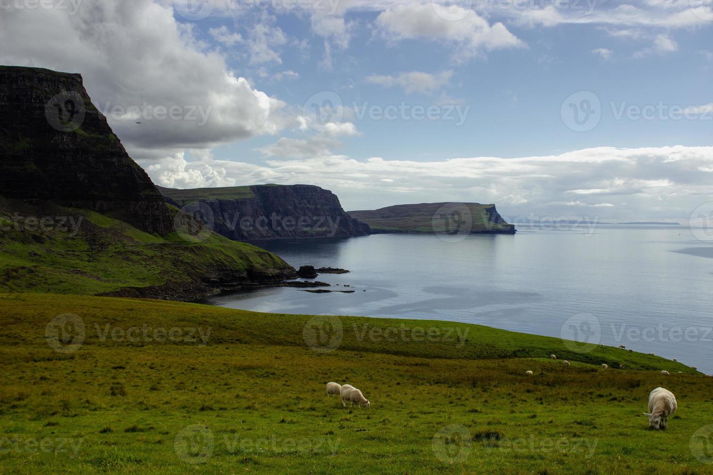 ozeanküste am neist point leuchtturm mit schafen, schottland foto