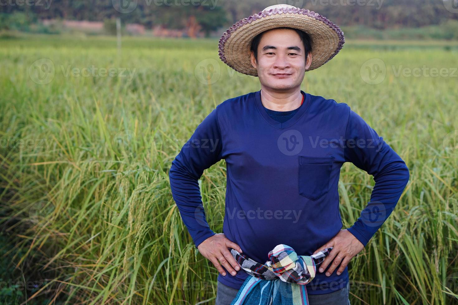 porträt eines asiatischen bauern trägt einen hut, ein blaues hemd, legt die hände auf die hüften und steht auf einem reisfeld. fühlt sich zuversichtlich. konzept, landwirtschaftsberuf. Thailändische Bauern bauen Bio-Reis an. foto