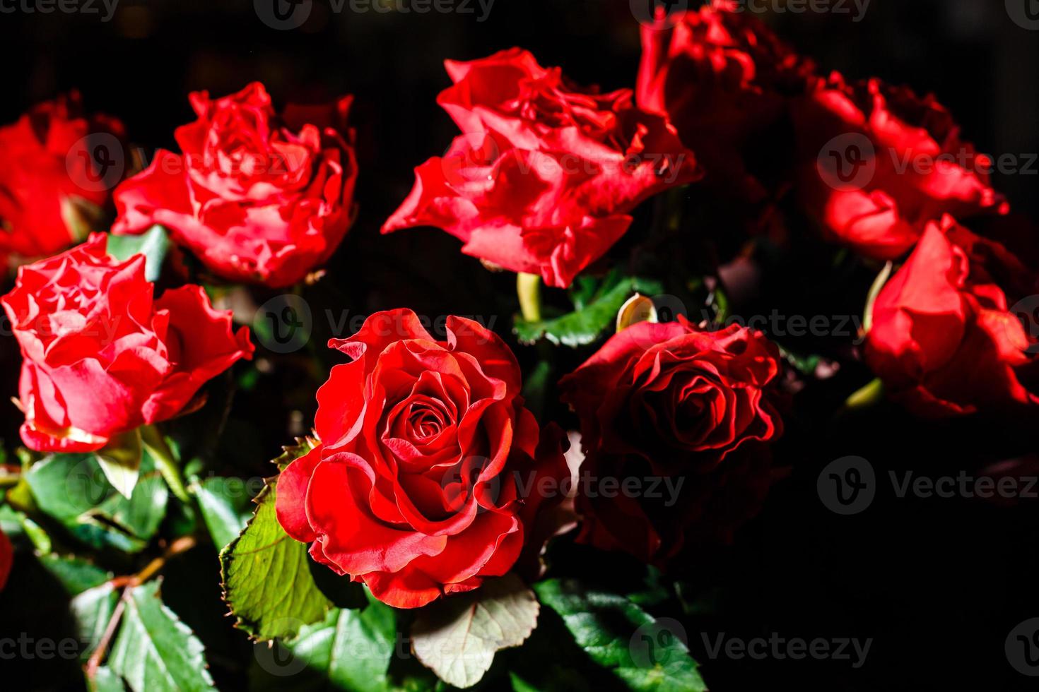 rote Rosen auf schwarzem Hintergrund. festliches Blumenarrangement foto