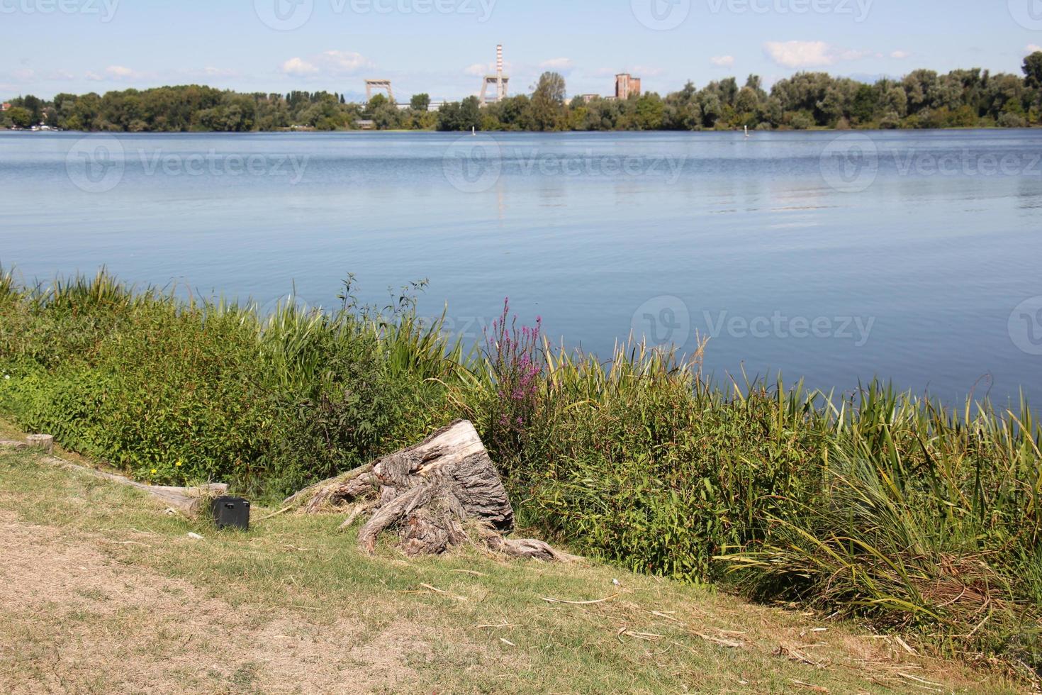 in einem park am ufer des gardasees in italien. foto