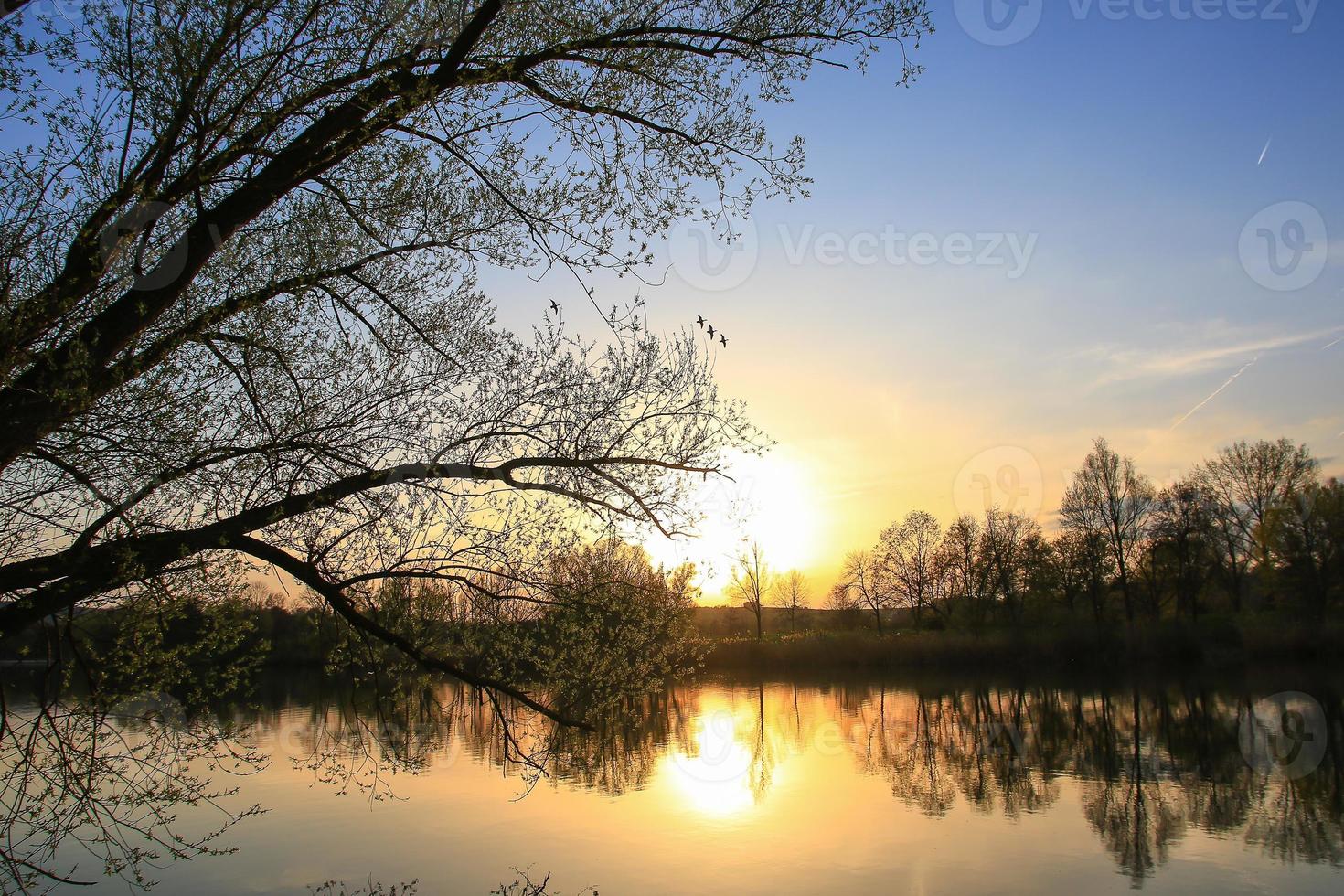 Fliegende Enten vor einer Abendlandschaft foto