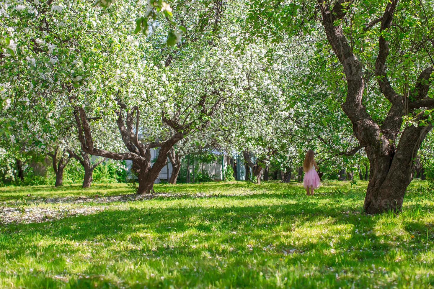 entzückendes kleines Mädchen mit Strohkorb im blühenden Apfelgarten foto