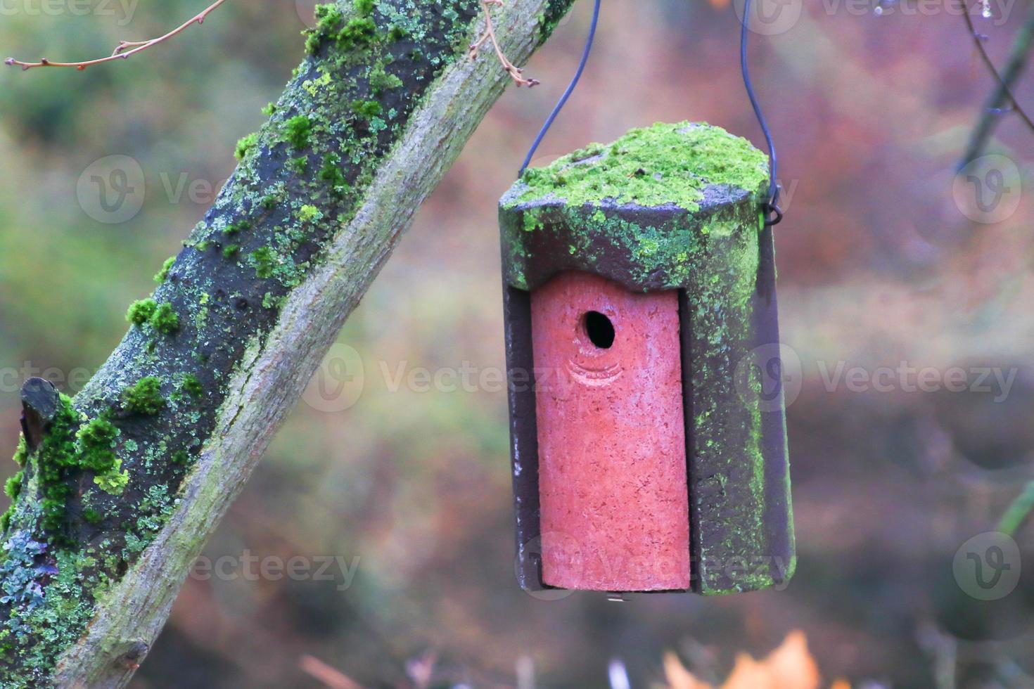 vogelhaus am baum hängend im herzogpark sind diese häuser sehr wichtig, damit die tiere gerade im winter ein zuhause haben foto