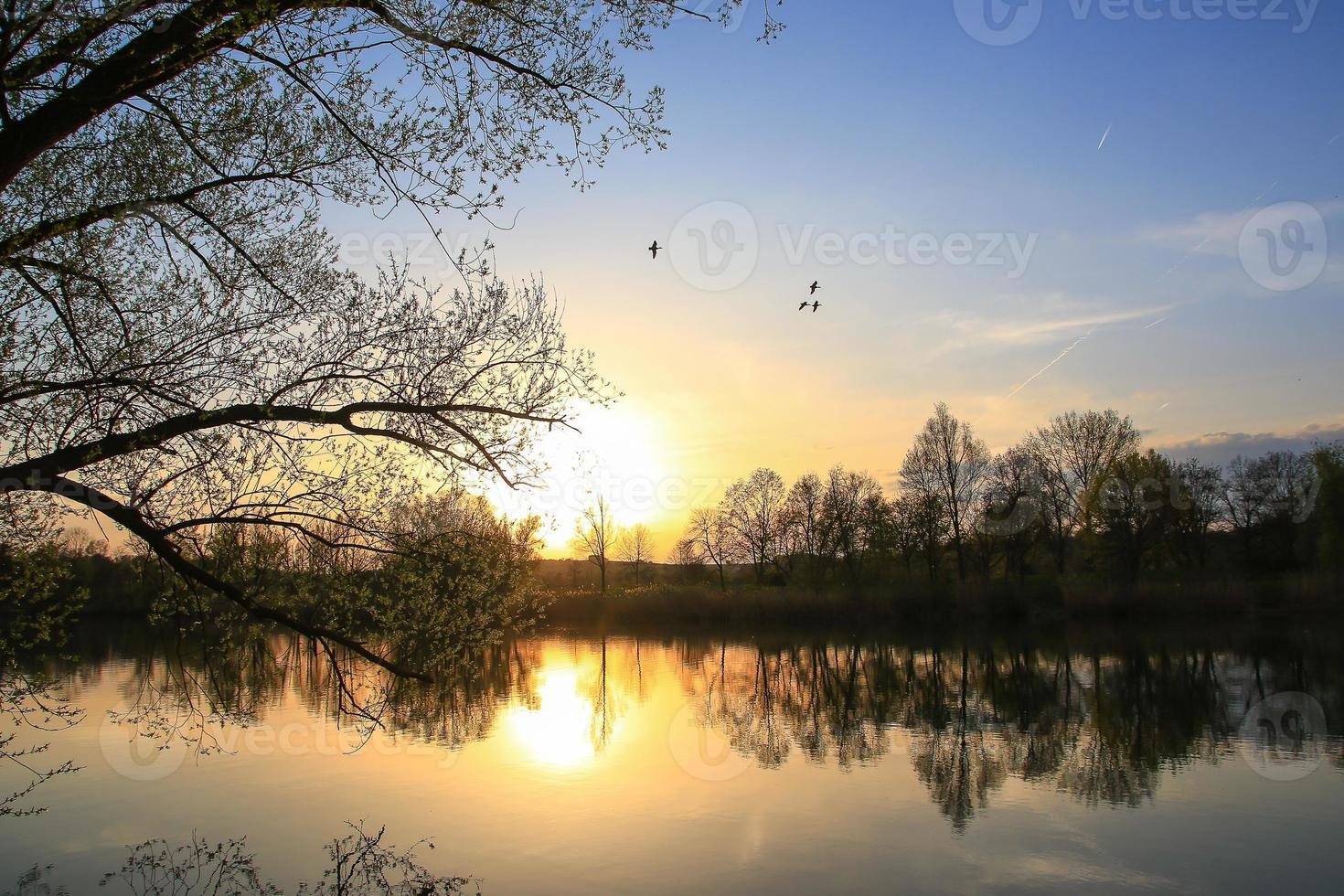 Fliegende Enten vor einer Abendlandschaft foto