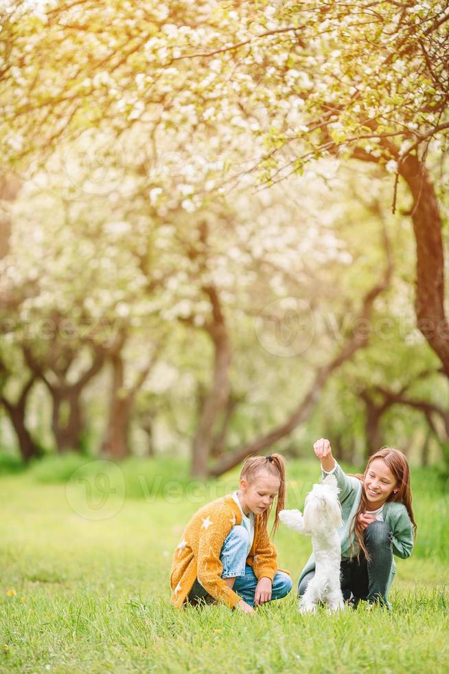 kleine lächelnde mädchen, die welpen im park spielen und umarmen foto