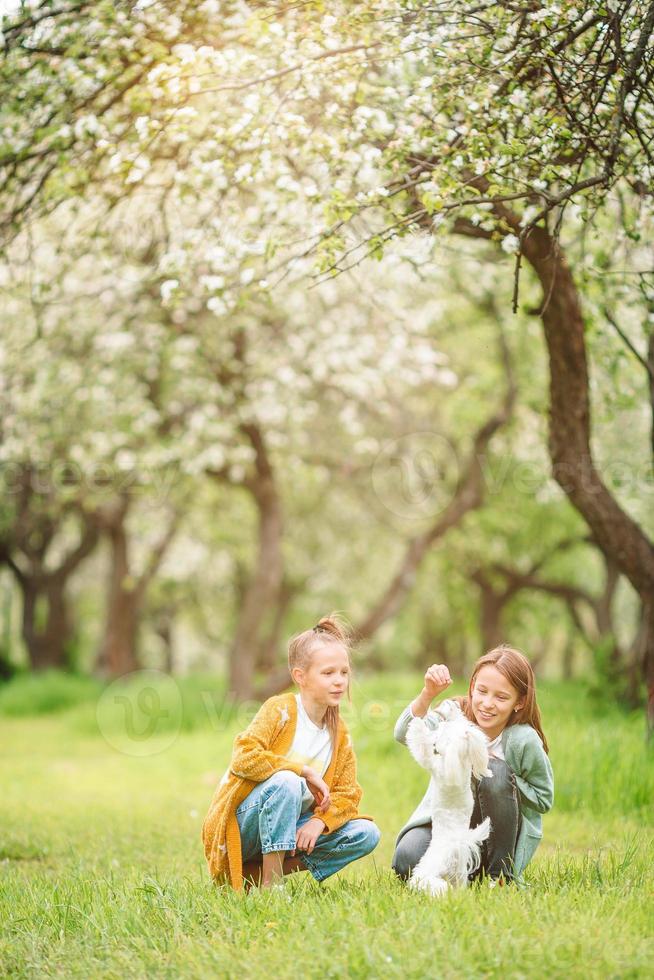 kleine lächelnde mädchen, die mit welpen im park spielen foto