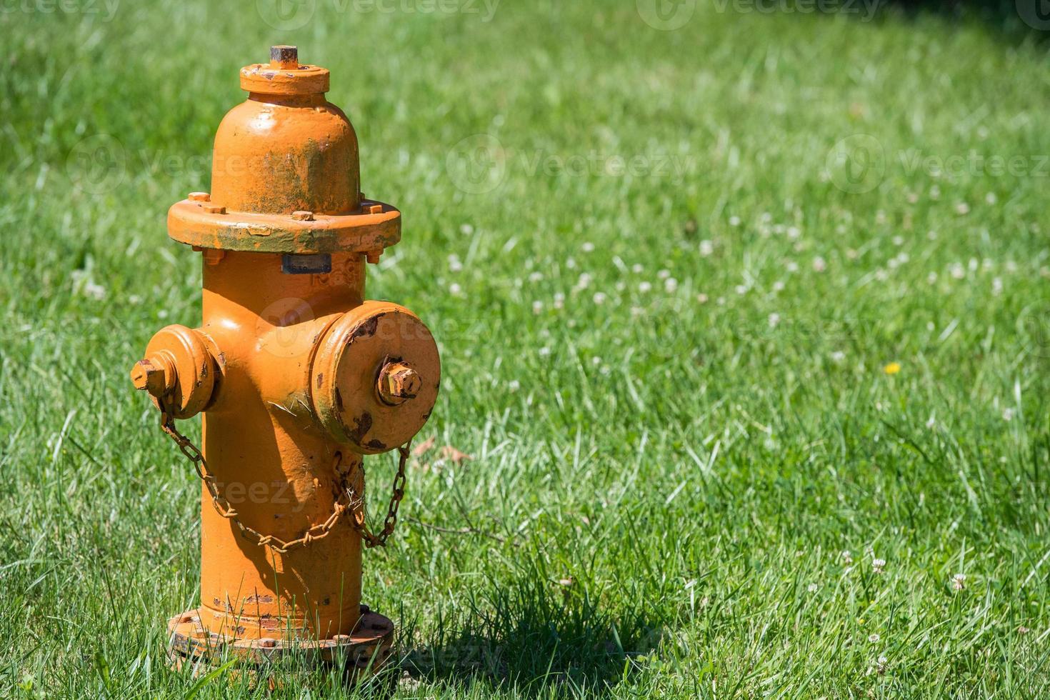Gelber Hydrant isoliert auf Grashintergrund foto