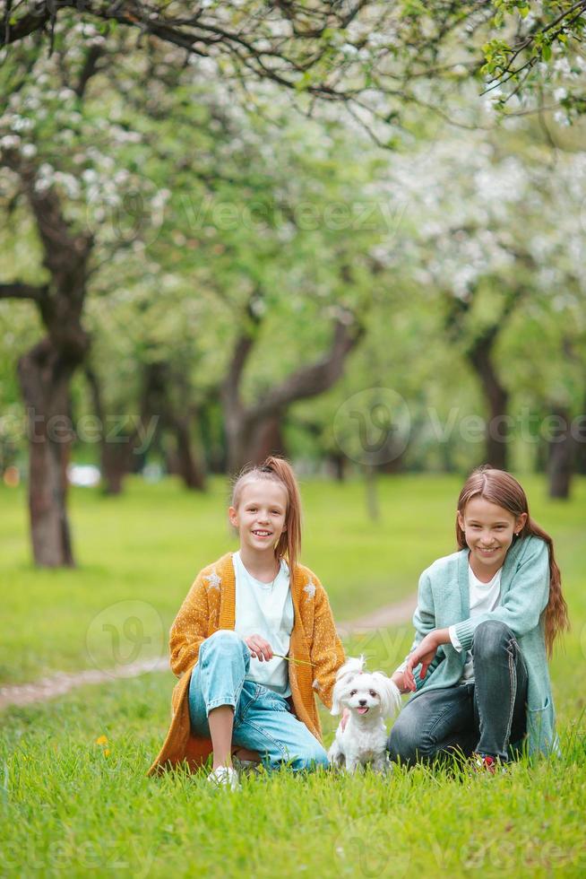 kleine lächelnde mädchen, die welpen im park spielen und umarmen foto