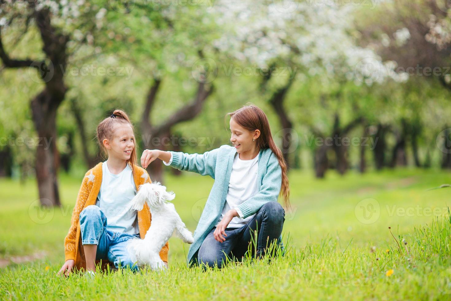 kleine lächelnde mädchen, die welpen im park spielen und umarmen foto