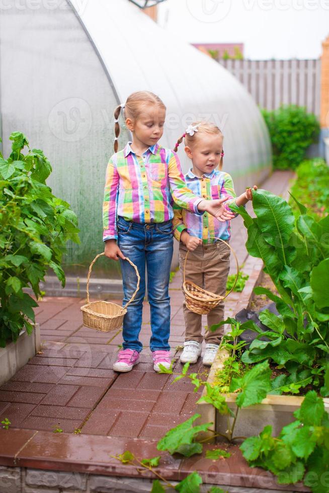 Entzückende kleine Mädchen mit dem Erntekorb in der Nähe des Gewächshauses foto