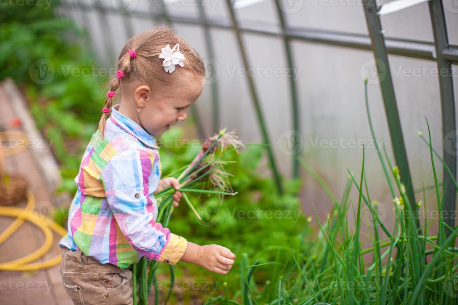 kleines süßes Mädchen mit der Ernte in einem Gewächshaus foto