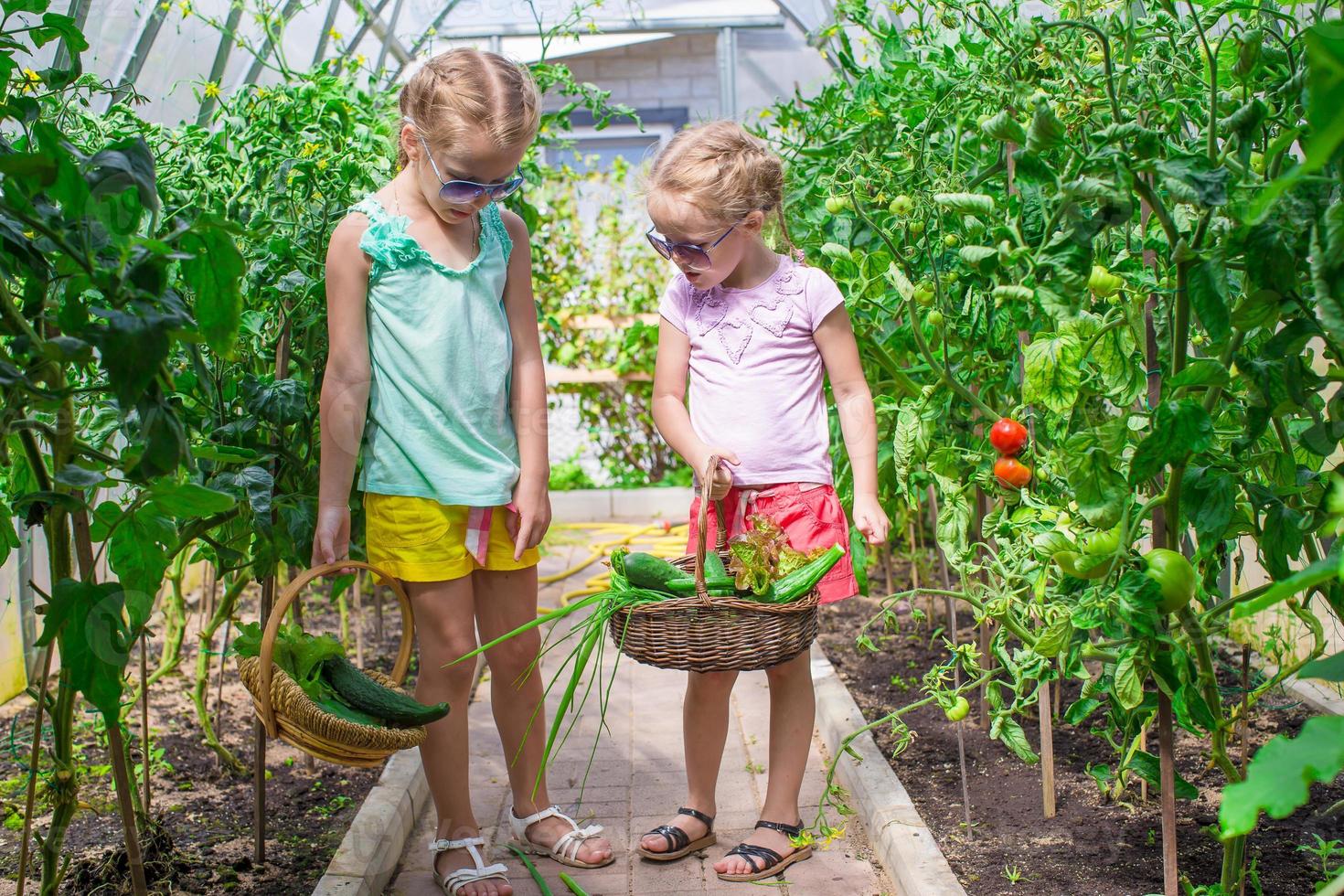 süße kleine Mädchen sammeln Erntegurken im Gewächshaus foto