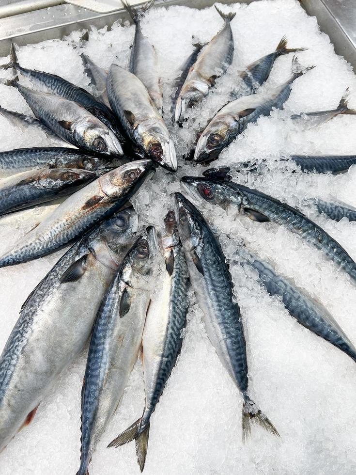 Makrelenfisch auf Eis, frischer roher Makrelenfisch zum Verkauf im Fischrestaurant auf dem Markt foto