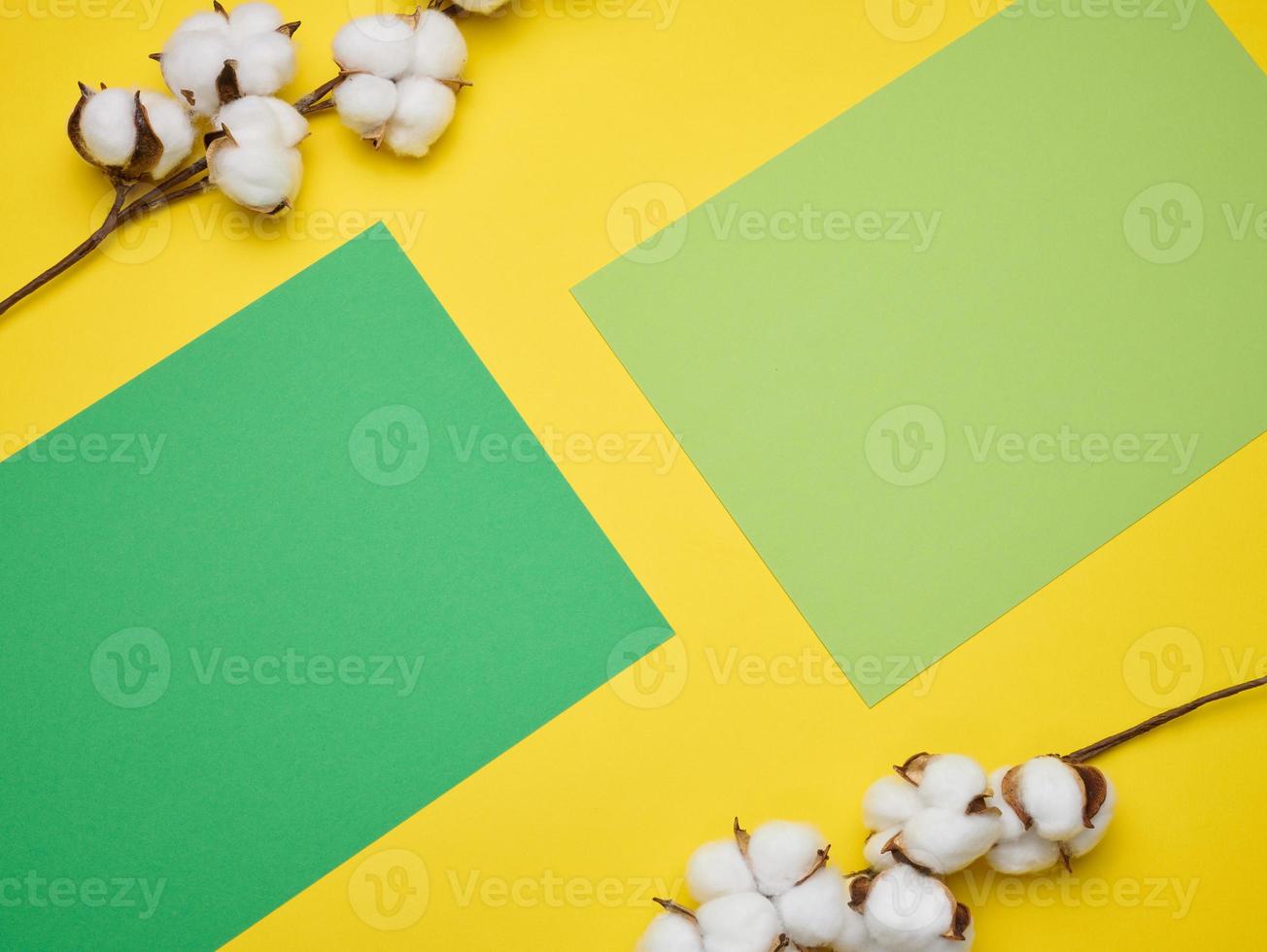 Baumwollblume auf gelbem Papierhintergrund, Overhead. Minimalismus-Flat-Lay-Komposition foto