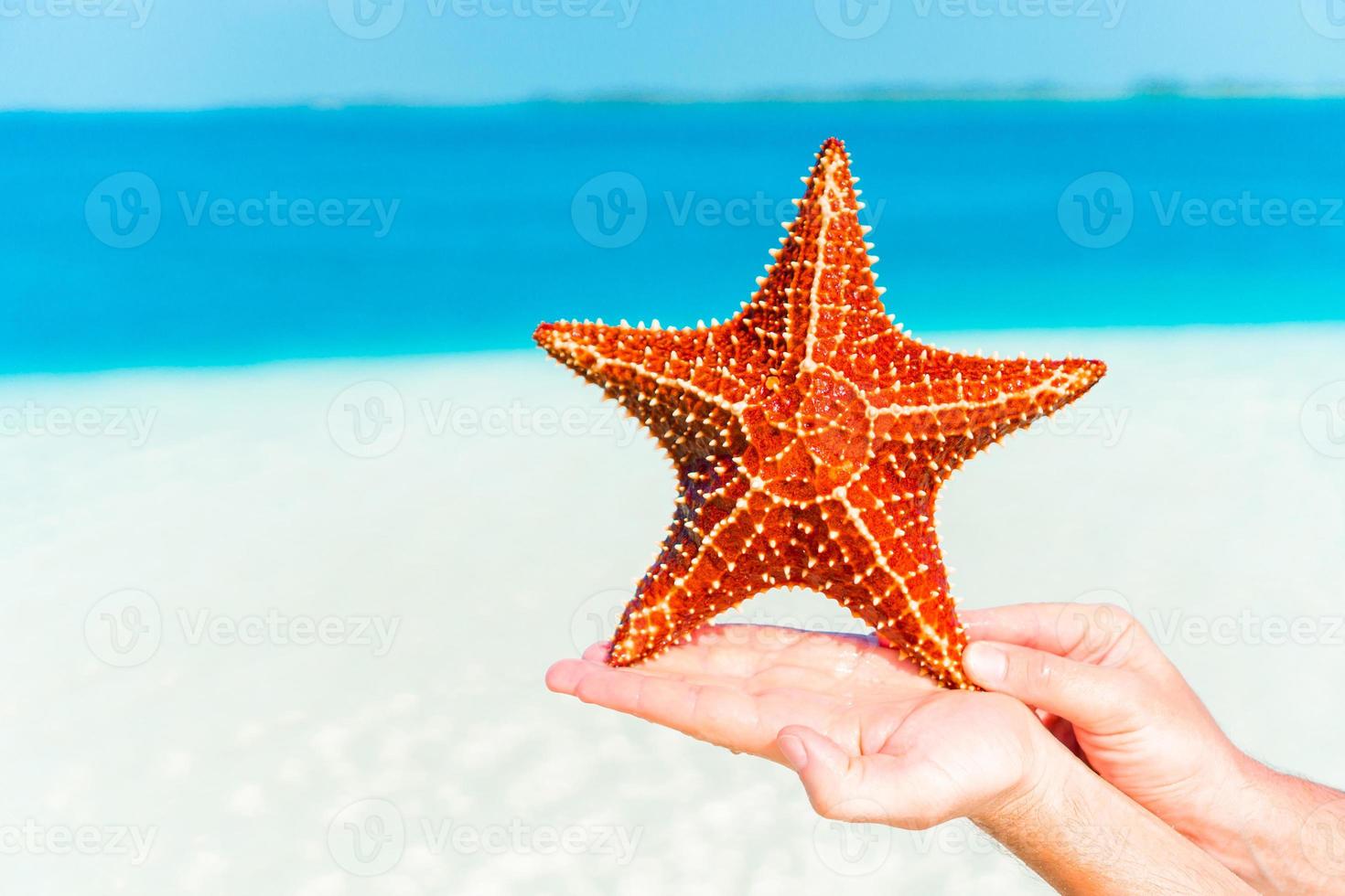 tropischer weißer Sand mit roten Seesternen in den Händen im Hintergrund das Meer foto