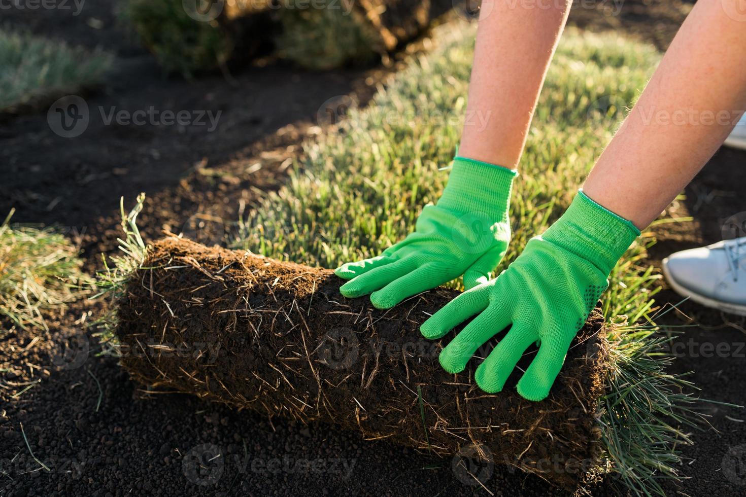 nahaufnahme frau, die sod für neuen gartenrasen legt - rasenverlegungskonzept foto