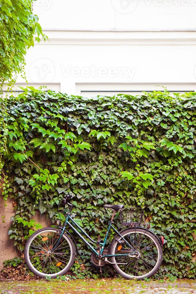 schöne stadtlandschaft mit fahrrad nahe der alten mauer mit blumen in wien foto