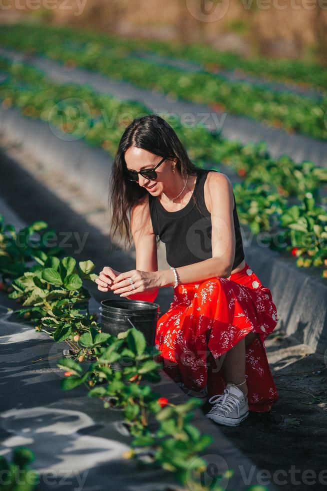 glückliche frau, die erdbeeren auf der plantage aufhebt foto