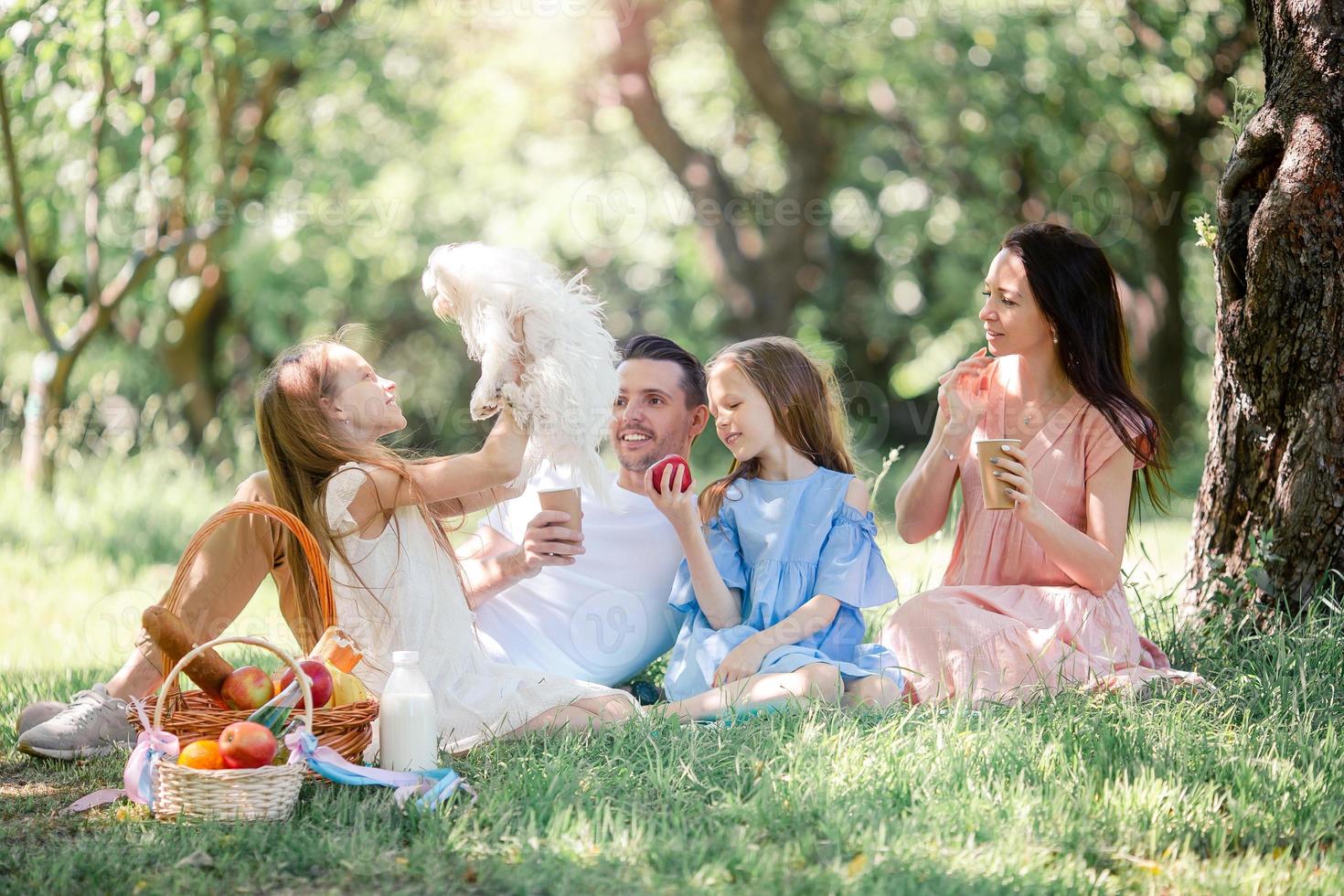 glückliche Familie auf einem Picknick im Park an einem sonnigen Tag foto