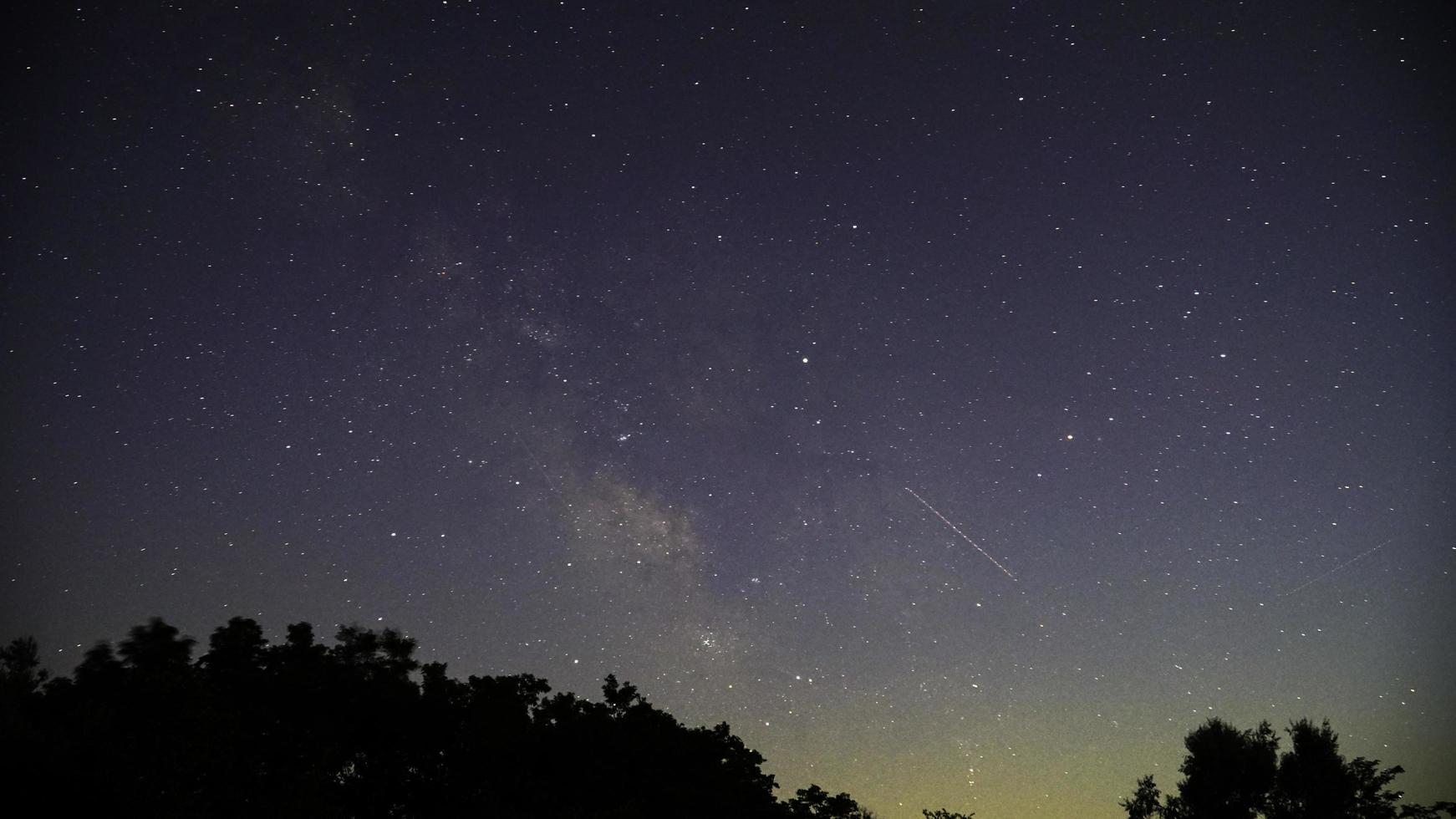 Silhouette der Bäume während der Nacht mit Sternen foto