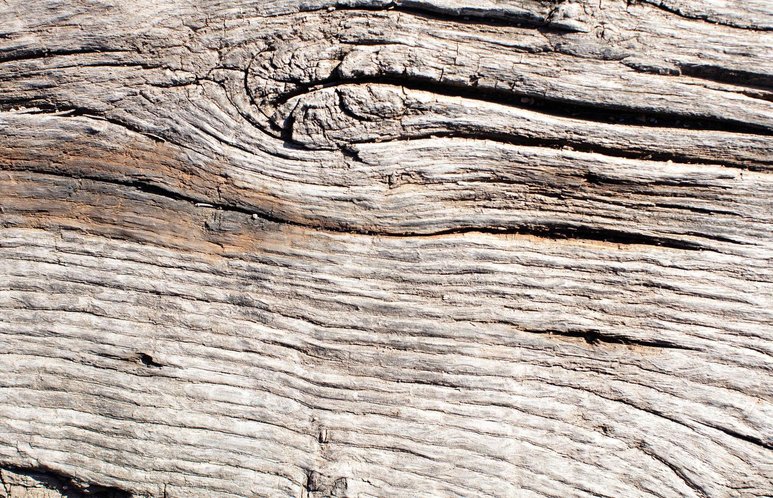 Holzmaserung Textur foto