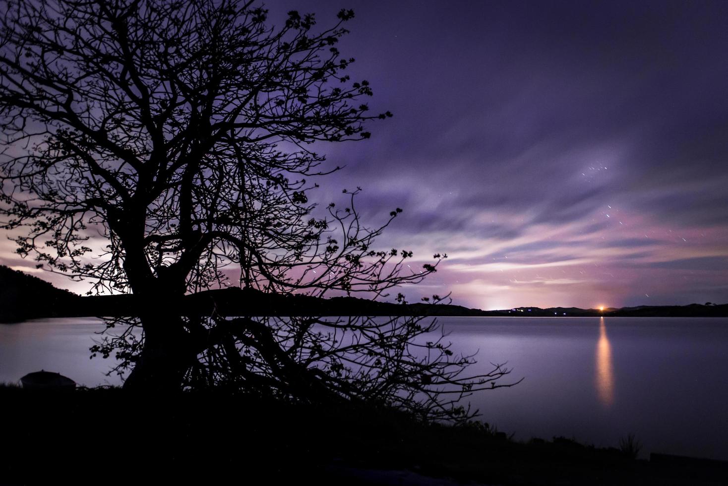 Silhouette eines Baumes nahe einem Gewässer bei Sonnenuntergang foto