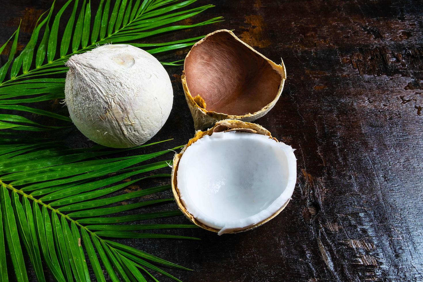 Kokosnüsse und Palmblätter foto