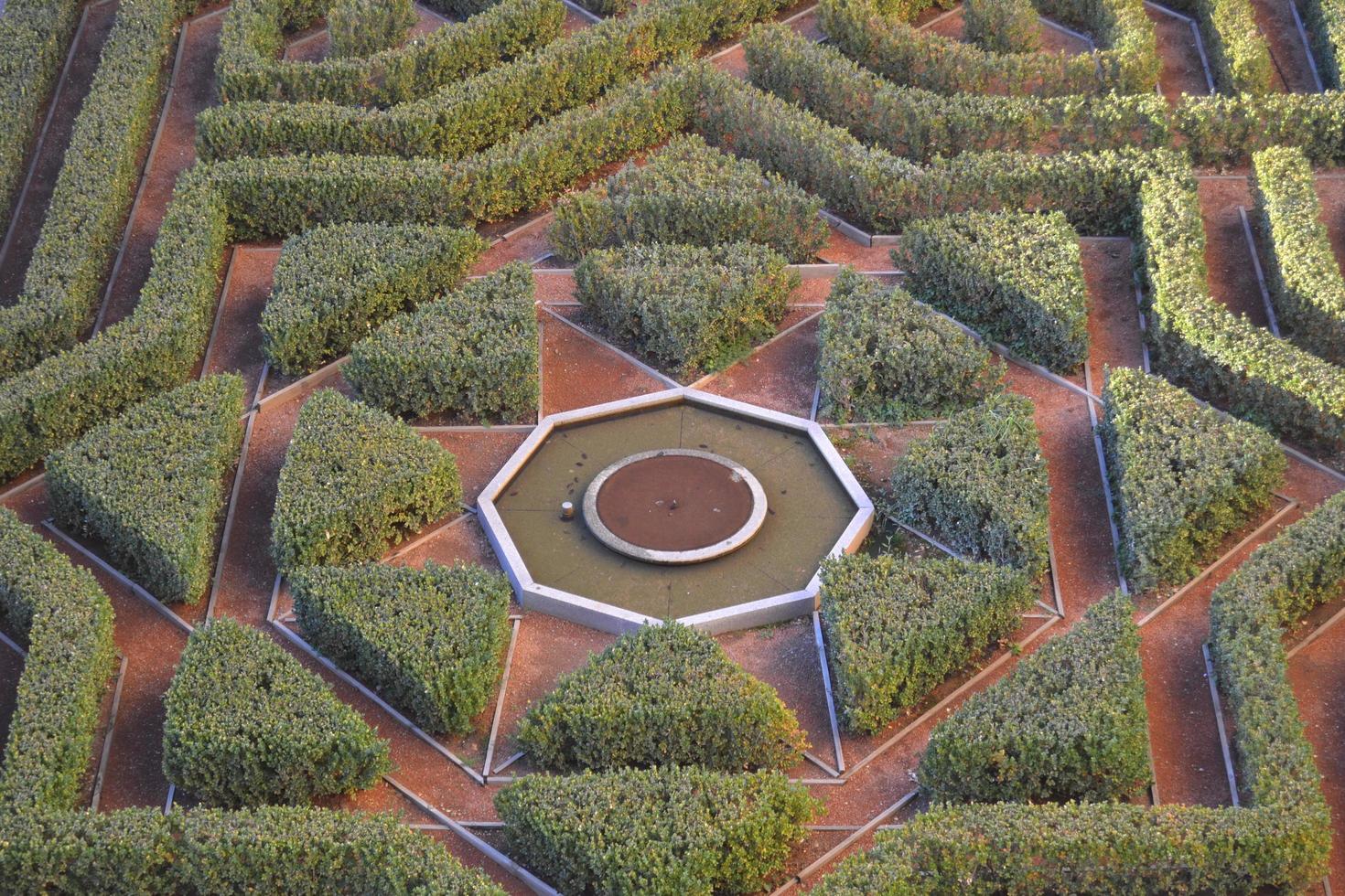 grüner dreieckiger Garten foto