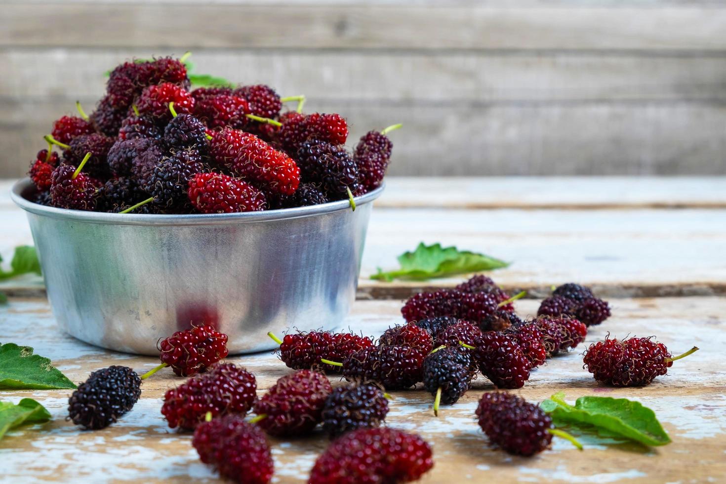 Nahaufnahme von Maulbeeren in einem Eimer foto